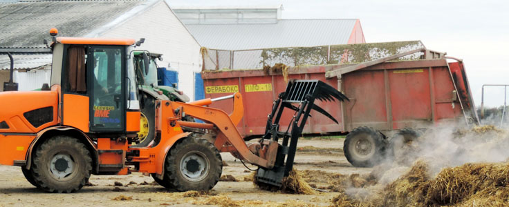 vily_dlya_silosa_big1