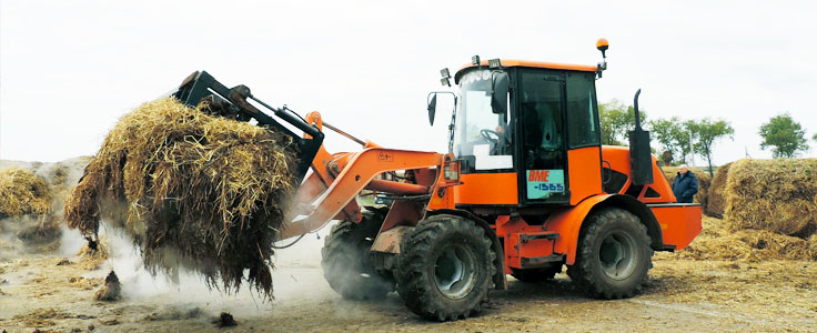 vily_dlya_silosa_medium